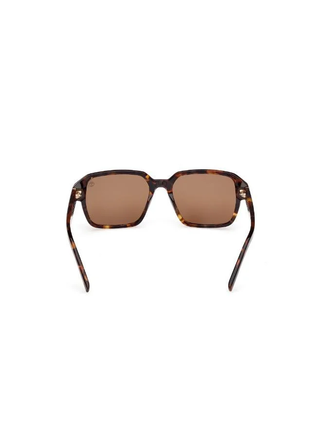 Timberland Wayfarers Sunglasses