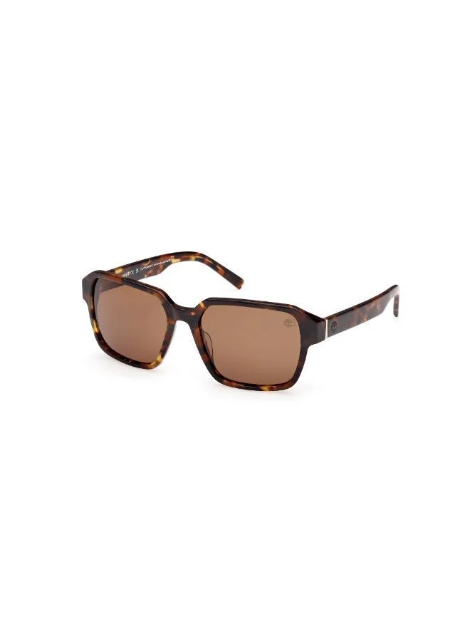 Timberland  Wayfarers Sunglasses for Men | Best Price UAE