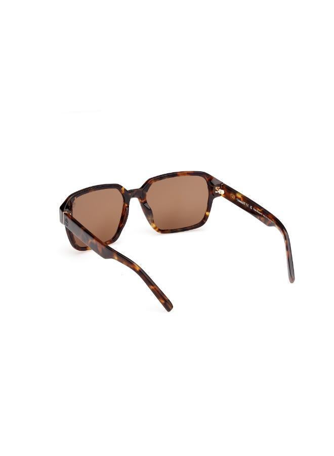 تمبرلاند نظارات شمسية واي فيرر - Image 5