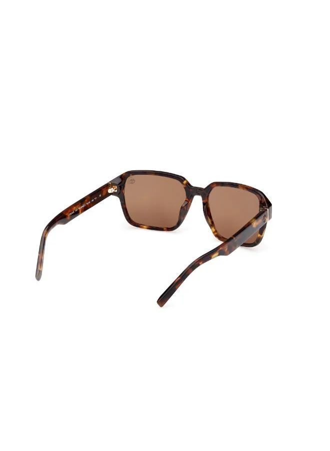 Timberland  Wayfarers Sunglasses for Men | Best Price UAE