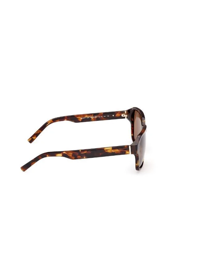 Timberland  Wayfarers Sunglasses for Men | Best Price UAE