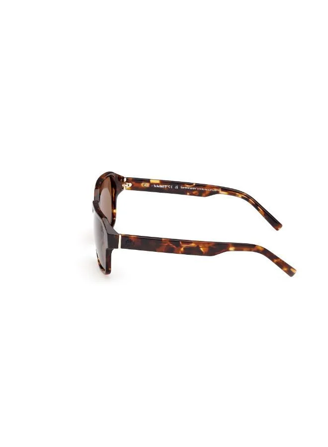 Timberland  Wayfarers Sunglasses for Men | Best Price UAE
