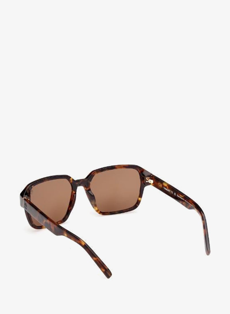 Timberland Wayfarers Sunglasses - Image 5