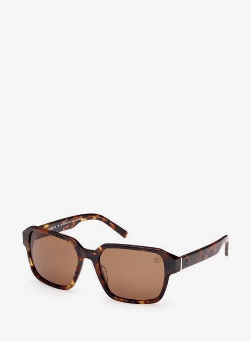 Timberland Wayfarers Sunglasses - Image 4