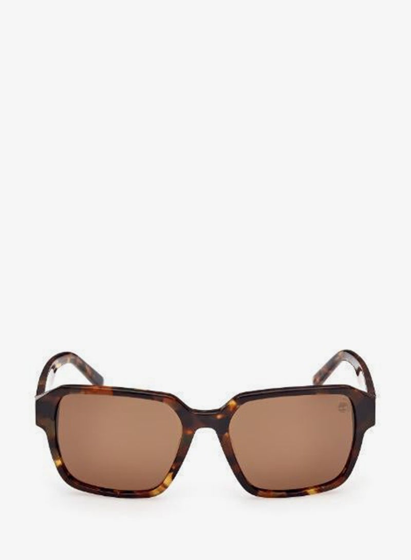 Timberland Wayfarers Sunglasses - Image 1