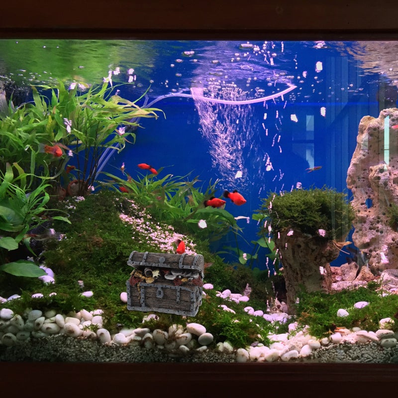Resin Aquarium Decor Delicate Aquarium Adornment Resin Aquarium Ornament - Image 5