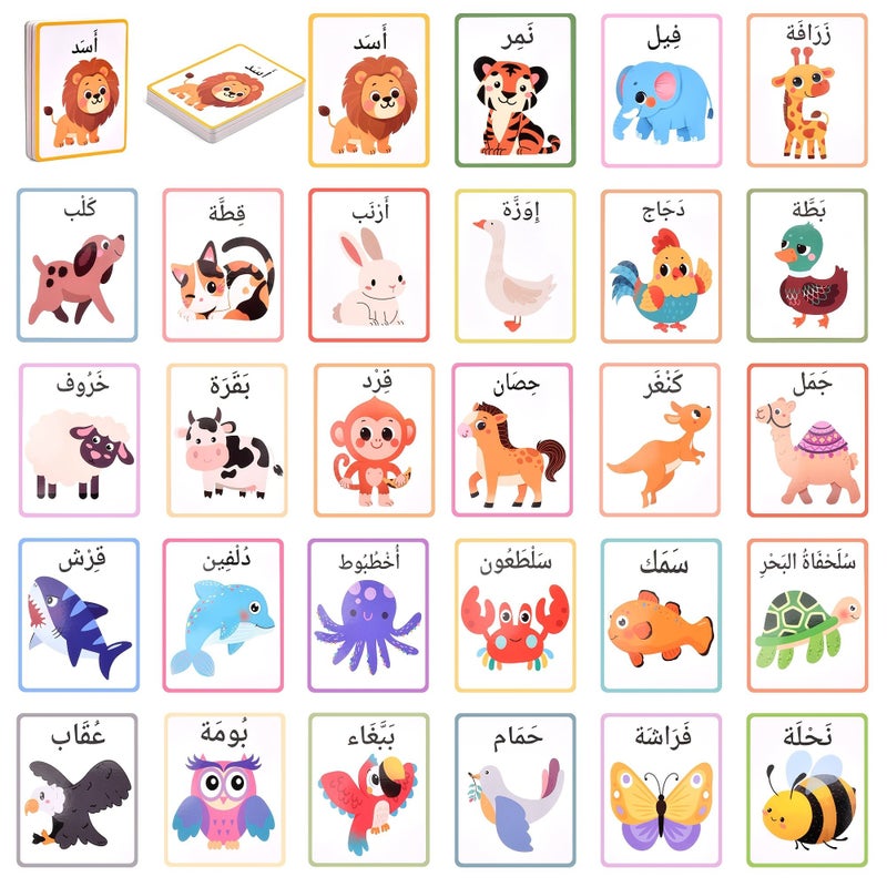 112 بطاقة تعليمية ثنائية اللغة (عربي/إنجليزي) لمفردات الحيوانات والفواكه والخضروات وأجزاء الجسم - مجموعة بطاقات تعليمية للأطفال وأدوات مدرسية - Image 4