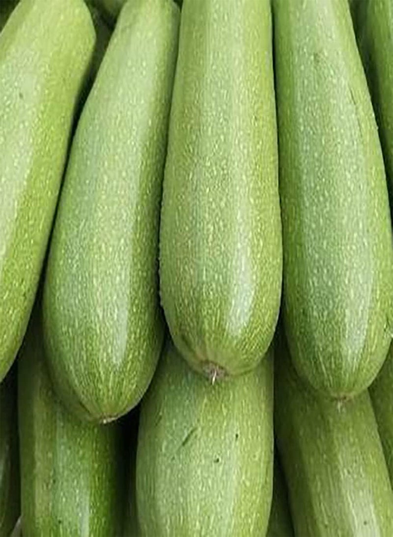 GGOOT 30pcs Green Zucchini Seeds Round Special Heirloom Vegetables Indispensable In Daily Life Squash Is A Good Choice For Planting - Image 1