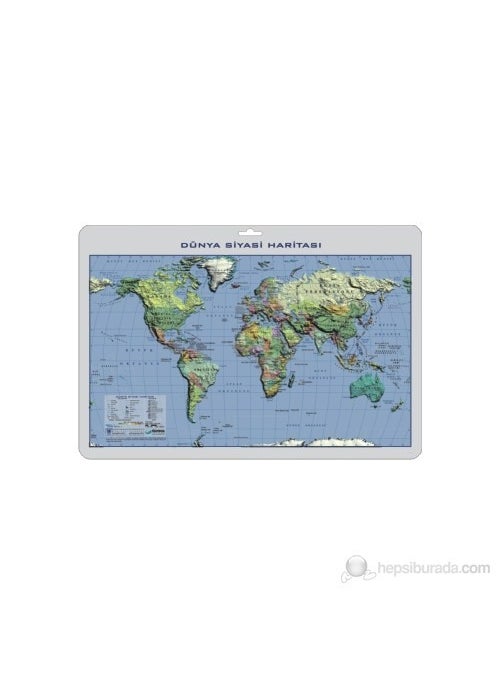 Gürbüz 35X50 World Political Map 