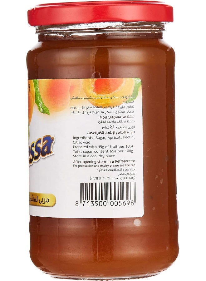 Frutessa Apricot Preserve Jam, 420 gm - Image 2