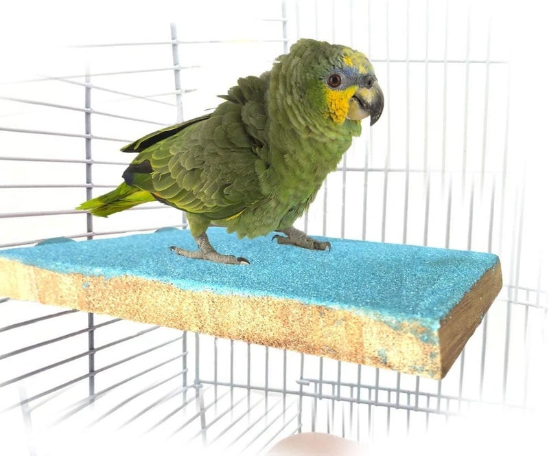 Litewoo Bird Parrot Perch Stand Platform Natural Wooden Coarse Sand Grinding Claw Stand Suitable for Parrot Parakeet Cockatiel Budgie Conures Lovebird Finch - Image 4
