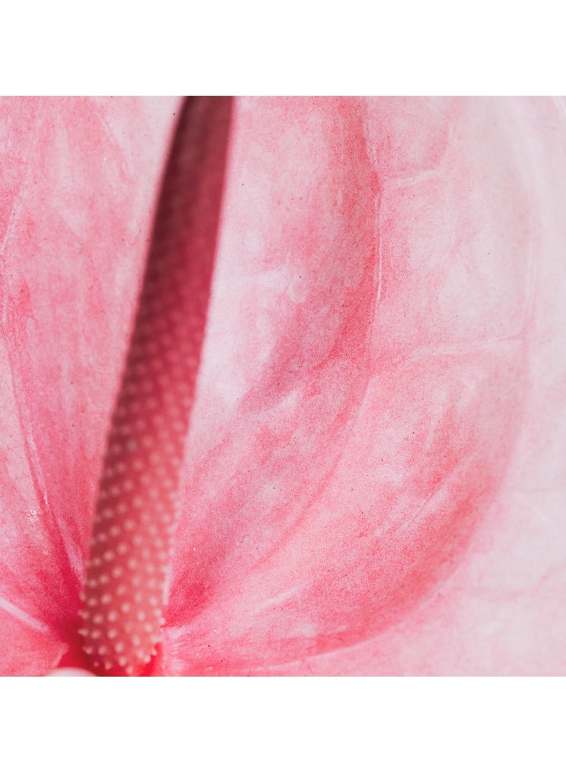 Lactacyd Sensitive Intimate Hygiene for Teenagers 250ml - Image 2