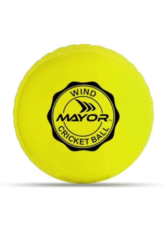 مايور كرة كريكيت مطاطية ويند من مايور | كرة متينة للتدريب والمباريات داخل وخارج المنزل - Image 1