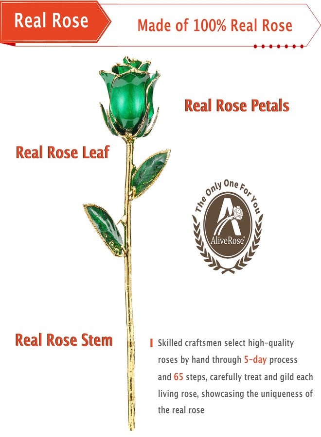 AliveRose 24k Gold Dipped Rose, Gold Rose Made from Real Rose - Unique Design 24K Dipped Rose for Anniversary Valentines Mothers Day Birthday Gifts (Green Original with Crystal Vase) - Image 3