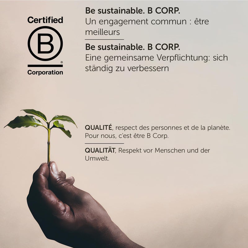 illy E.S.E. Pods Coffee - Intenso Bold Roast - Image 5