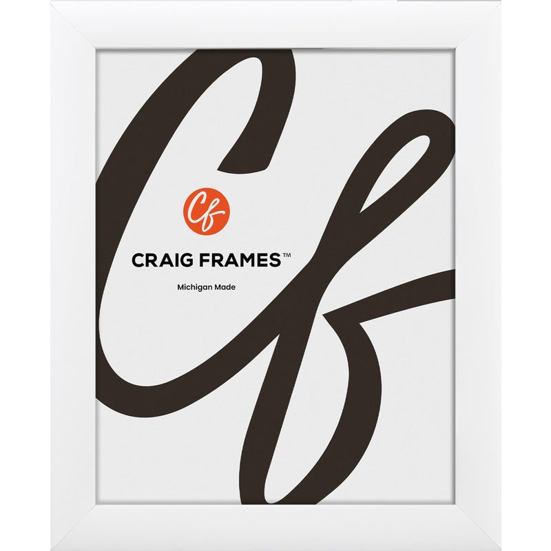 Craig Frames Contemporary Picture Frame, 18 x 24 Inch, White - Image 1