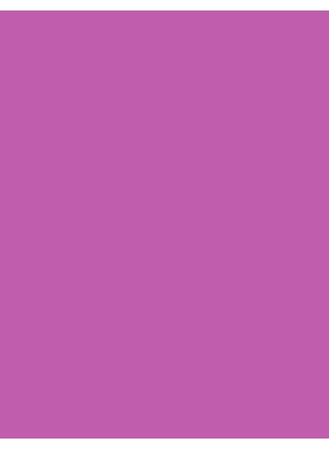 flormar Light Weight Lip Powder LipStick  014 Lavender Garden - Image 4