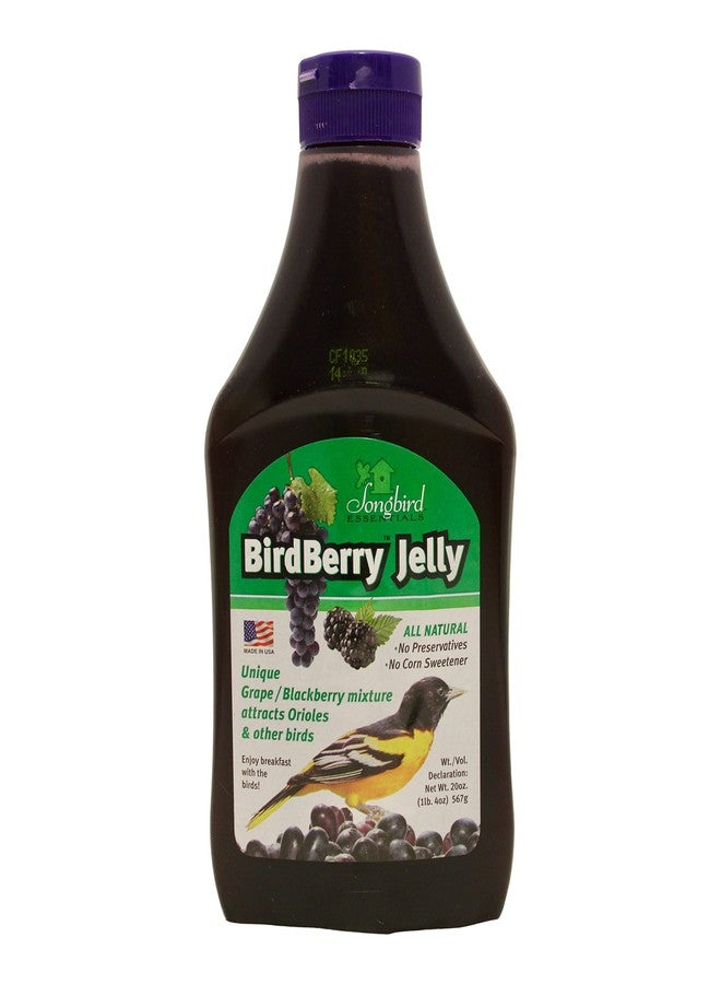 Songbird Essentials 20 Ounce BirdBerry Jelly Squeeze Bottle Bird Feeder Jelly, Grape and Blackberry Jelly Made Just for Birds [Pack of 3] - Image 3