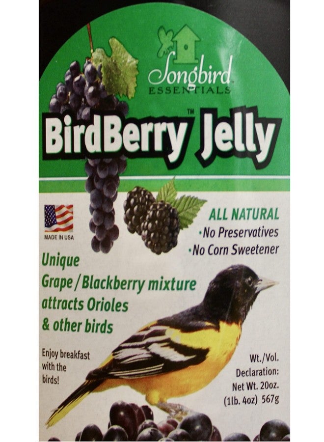 Songbird Essentials 20 Ounce BirdBerry Jelly Squeeze Bottle Bird Feeder Jelly, Grape and Blackberry Jelly Made Just for Birds [Pack of 3] - Image 4