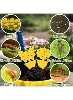 Y&D DMG 45 Pieces Sticky Fly Traps,Sticky Catchers Dual-Side with Label, Yellow Paper Stickers for Indoor Outdoor Fruit Fly, Fungus Gnats, Mosquito, Flying Insect Bug Pest, White Flies  - Image 5