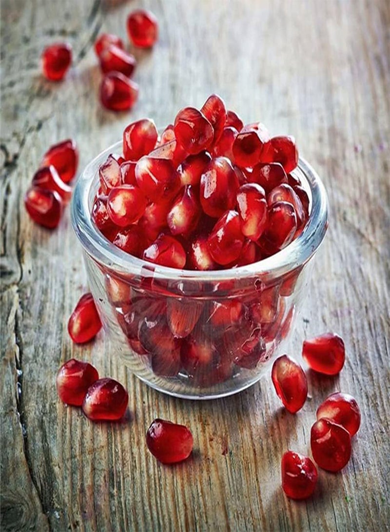 GGOOT 100pcs Beautiful Charming Pomegranate Seeds Planted on Terrace Balcony Red Fruit Cute Best Choice to Match Other Fruits Suitable Give to Family Friends - Image 3
