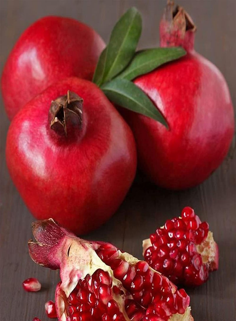 GGOOT 100pcs Beautiful Charming Pomegranate Seeds Planted on Terrace Balcony Red Fruit Cute Best Choice to Match Other Fruits Suitable Give to Family Friends - Image 2