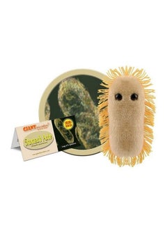 Giantmicrobes Stomach Ache Plush Learn About Microbes And Health Fun Educational Gift For Family Friends Doctors Nurses Educators And Anyone With A Healthy Sense Of Humor