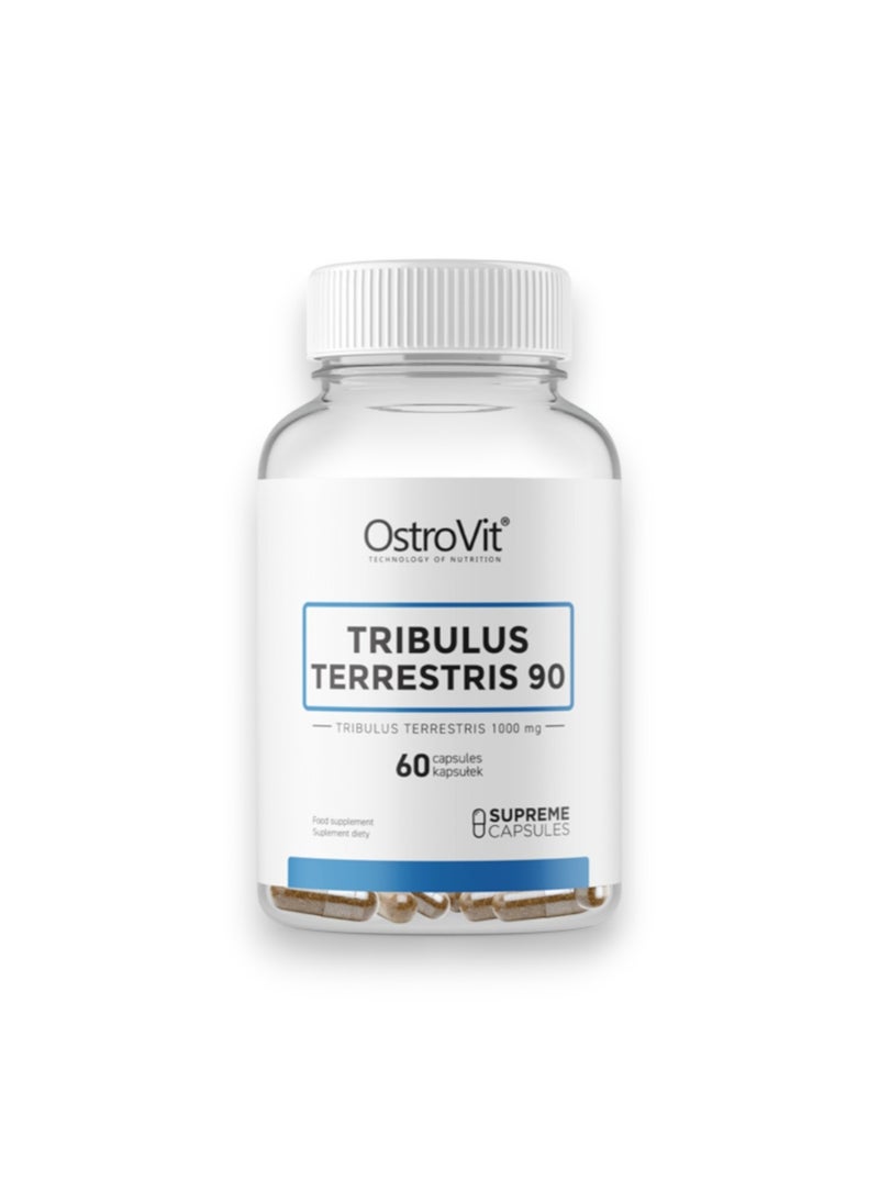OstroVit - Tribulus Terrestris 90, 60 Capsules - Image 1