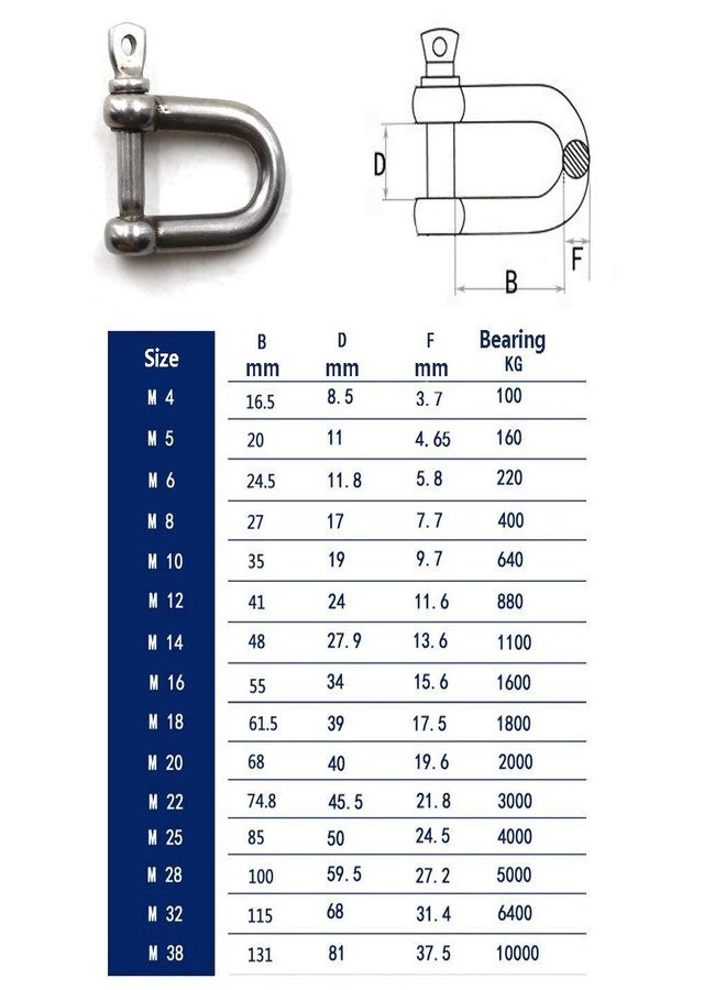 Flomore M6 D Ring Shackle Boat Anchor Shackle 304 Stainless Steel Chain Shackle Screw Pin D Shackle Pack of 10 - Image 5