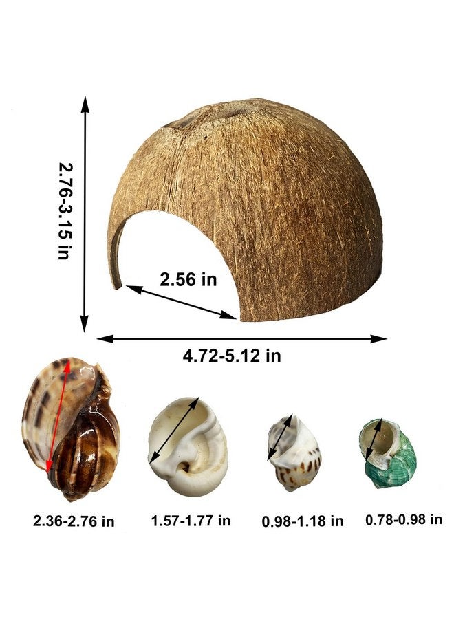 Kathson kathson 2 Pcs Natural Coconut Shells Hut, 8 Pcs Hermit Crab Shells Coconut Hide Reptile Hideout Assorted Turbo Growth Shells for Fish Tank Decoration Reptile Habitat (10Pcs) - Image 2