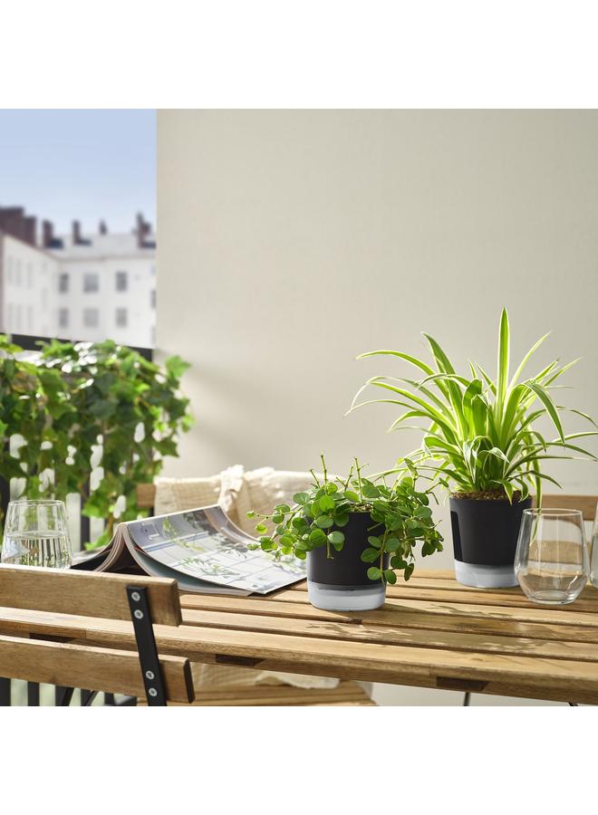 erorex Self-Watering Plant Pot, In/Outdoor Transparent/Anthracite, 9 Cm - Image 3