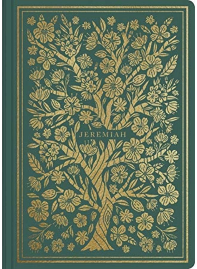 ESV Illuminated Scripture Journal : Jeremiah (Paperback) 