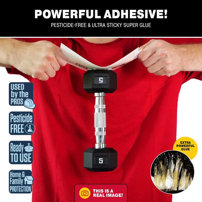 Catchmaster Max-Catch Mouse & Insect Glue Trap 72PK, Mouse Traps Indoor for Home, Sticky Pest Control Adhesive Tray for Catching Bugs, Bulk Unscented Glue Boards - Image 3