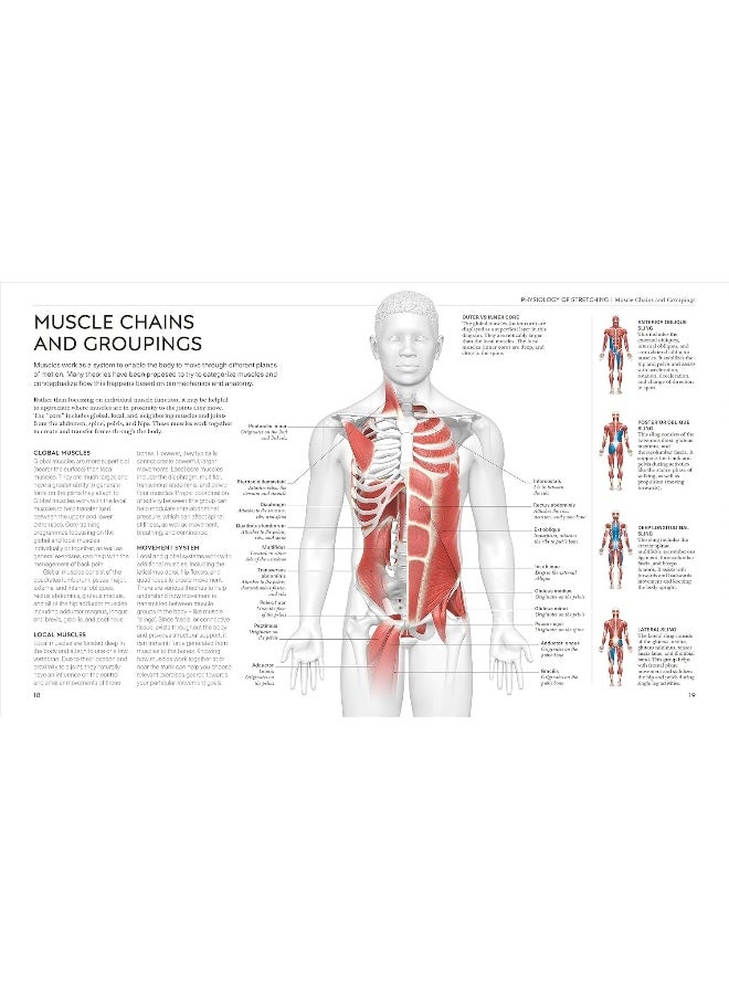 null - Science of Stretch: Reach Your Flexible Potential, Stay Active, Maximi - Image 1