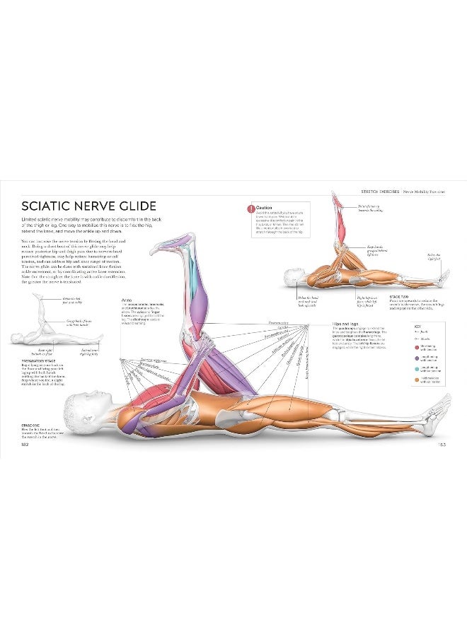 null - Science of Stretch: Reach Your Flexible Potential, Stay Active, Maximi - Image 1