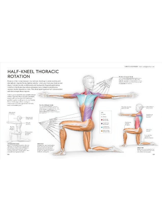 null - Science of Stretch: Reach Your Flexible Potential, Stay Active, Maximi - Image 1