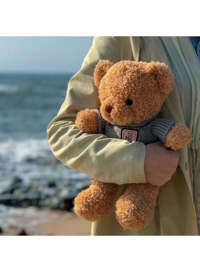Neonix Teddy Bear Plush Toy 30cm with Removable Sweater, Kids Gift for Boys and Girls, Cute Plush Toy for Animal Themed Party, Companion Toy for Children - Image 4