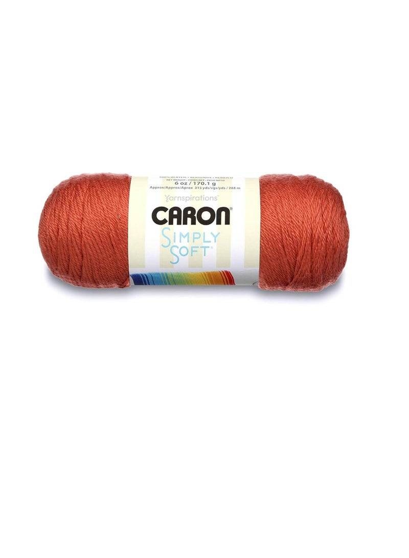 Caron Simply Soft Solids Yarn Persimmon - Image 3