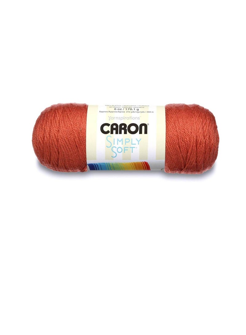 Caron Simply Soft Solids Yarn Persimmon - Image 2