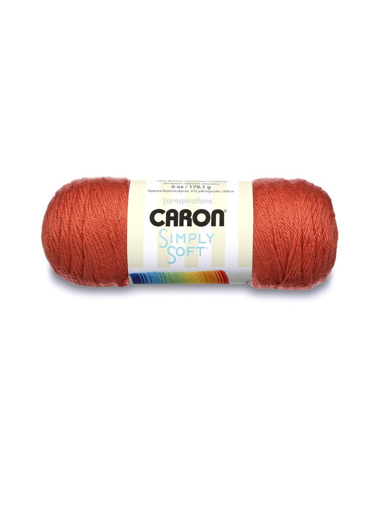 Caron Simply Soft Solids Yarn Persimmon - Image 1
