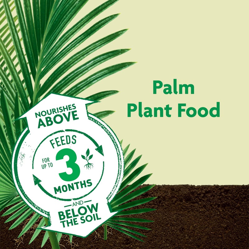 Miracle-Gro Shake 'N Feed Palm Plant Food, 8 lb., Feeds up to 3 Months - Image 2