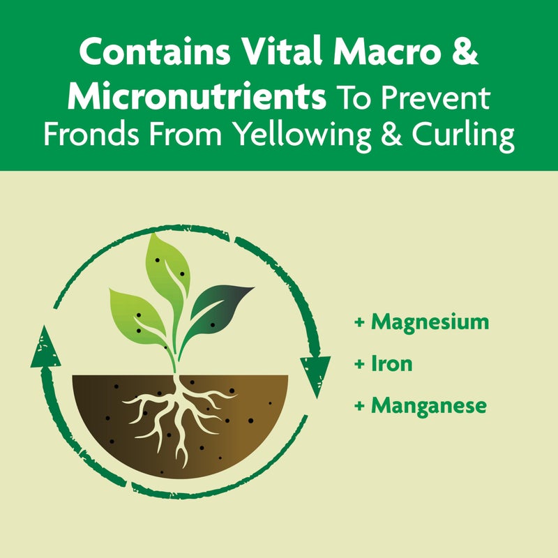 Miracle-Gro Shake 'N Feed Palm Plant Food, 8 lb., Feeds up to 3 Months - Image 5