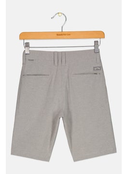 Billabong Kids Boy Micro Stripe Walking Short, Light Grey  - Image 2