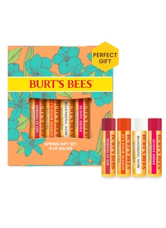 Burts Bees Gifts Ideas  Just Picked Lip Balm Set Pomegranate Watermelon Sweet Mandarin Coconut  Pear Natural Origin Lip Treatment 4 Tubes 015 oz