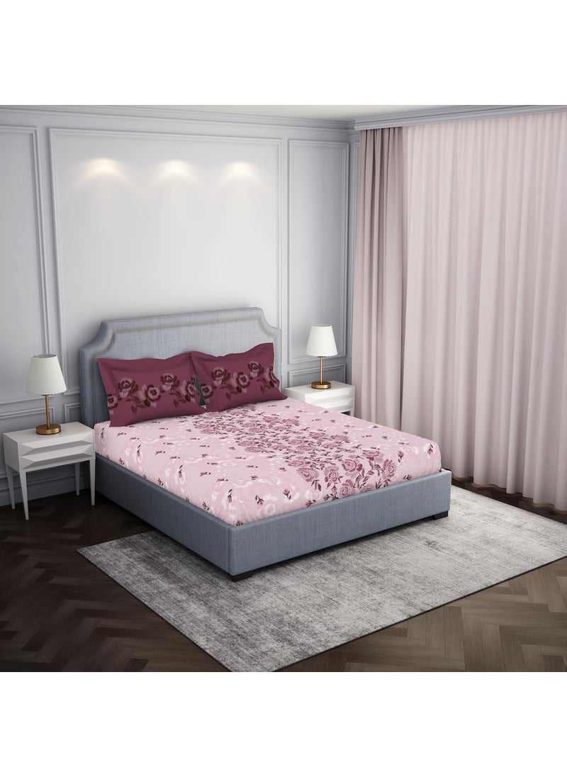 SPACES Spaces Atrium 144 TC 100 Cotton Bedsheet for Double Bed with 2 Pillow Cover Breathable Super Soft 88 X 100 Inches Pink  - Image 2