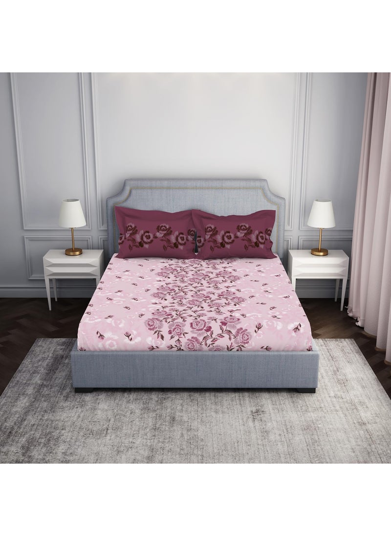 SPACES Spaces Atrium 144 TC 100 Cotton Bedsheet for Double Bed with 2 Pillow Cover Breathable Super Soft 88 X 100 Inches Pink  - Image 1