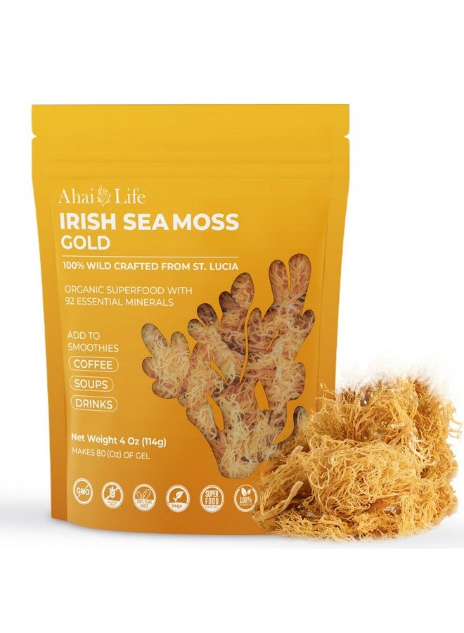 طحالب البحر الذهبية العضوية الخام | تصنع 80 أونصة من الجل - 100% مصنوعة من البرية | غذاء فائق غني بالمعادن مجفف بالشمس وغير معدل وراثيًا للطاقة | معزز صحي، مناعة، هضم (4 أونصة) - Image 1
