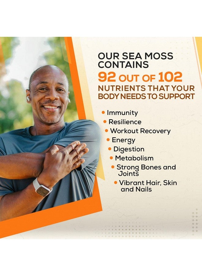 طحالب البحر الذهبية العضوية الخام | تصنع 80 أونصة من الجل - 100% مصنوعة من البرية | غذاء فائق غني بالمعادن مجفف بالشمس وغير معدل وراثيًا للطاقة | معزز صحي، مناعة، هضم (4 أونصة) - Image 3