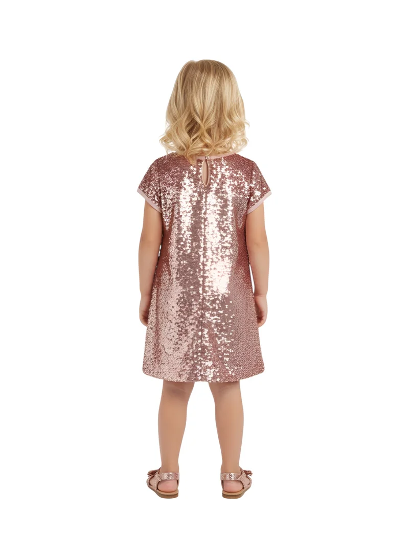 Bidani  Sparkle Royale Pink Dress for Women | Best Price UAE