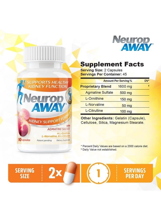 NeuropAWAY Kidney Support Formula Sugar Free with Agmatine Sulfate 500mg L-Novaline 50mg L-Ornithine 150mg L-Citrulline 100mg Per Capsule 90CT Fast Acting Kidney Support - Image 2